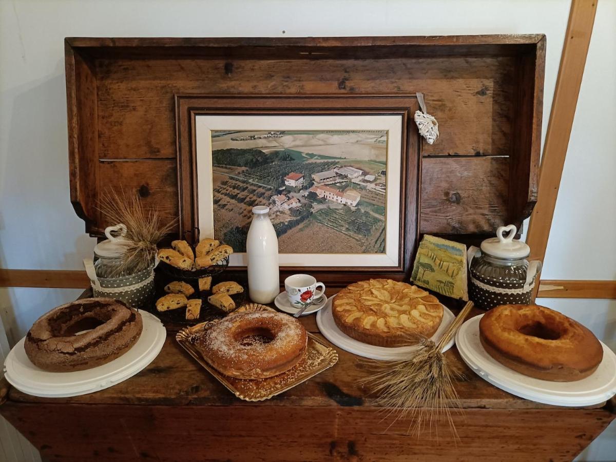 Il Giogo Agriturismo Rosignano Marittimo Extérieur photo